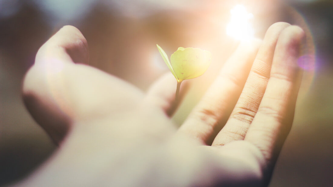 Schmerztherapie – Symbolbild